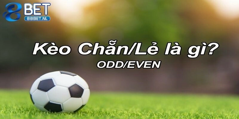 Khám Phá Kèo Chẵn Lẻ – Cược Thú Vị, Tỷ Lệ Chiến Thắng Cao