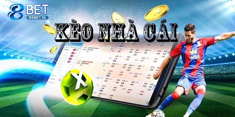 Soi Kèo Nhà Cái – Tổng Hợp 5 Bí Kíp Người Chơi Cần Biết