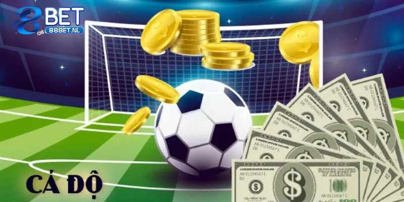 Nghiên cứu kèo, chọn loại phù hợp